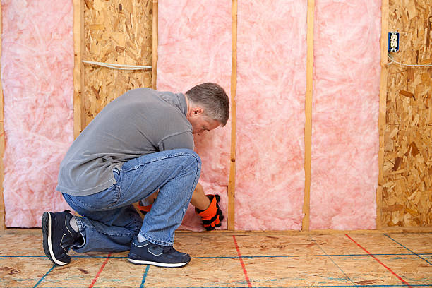 Best Insulation for New Construction  in Patterson, CA